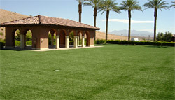 Artificial Grass