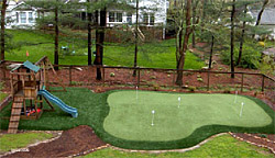 Artificial Grass