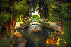 Water Gardens