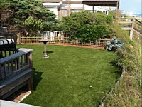 Artificial Turf